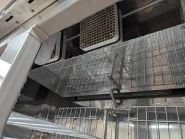 Randell R4S-6 54" double door reach-in refrigerator interior, showcasing shelves and ventilation system, fully tested.