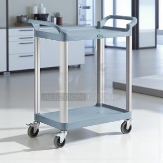 Brand new Choice small bus cart, gray, 24"x16", two shelves, sturdy design, with handles and wheels for easy mobility.