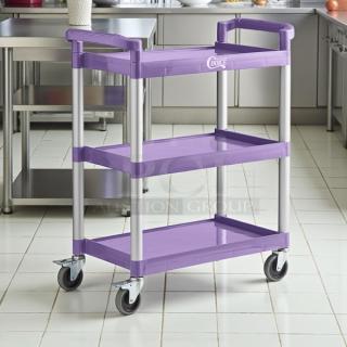 Brand new Choice small bus cart, purple, 24"x16", with two shelves. Durable build, swivel casters for mobility.