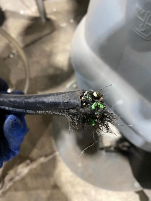Frayed power cord with visible wiring; Fetco CBS52H15 coffee brewer accessory. Damaged condition, showing exposed interior wires.