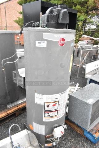 Rheem XG50T06PV42U0 commercial natural gas water heater, gray metal, labeled, showing performance and safety details.