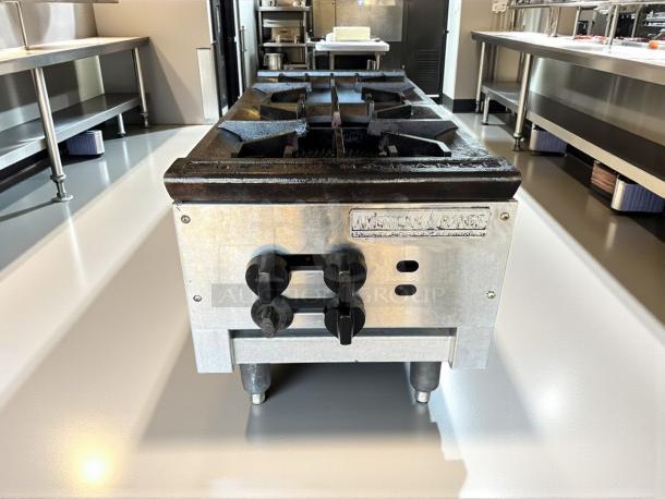 American Range ARSP-18-2 stock pot burner, 18" wide, two low profile 3-ring burners, great condition, tested, working.