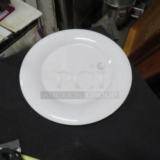 New 12-inch Carlisle plate, model N33024, in pristine condition. White, durable design ideal for dining settings.
