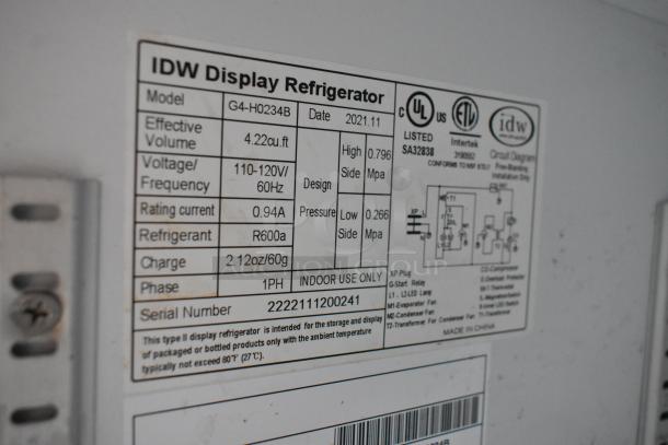2021 IDW G4-H0234B metal mini cooler; model label shows 110-120V, R600a refrigerant, indoor use only.