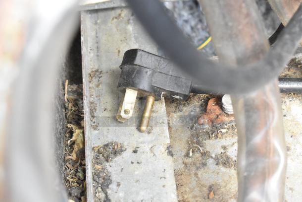 Stainless steel commercial undercounter cooler plug and wiring. Features 115 volts, 1 phase on commercial casters.