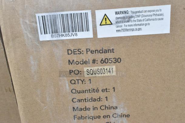 Cardboard box label showing pendant model #60530, PO: SQUS03141, QTY: 1. Includes a warning about chemical exposure.