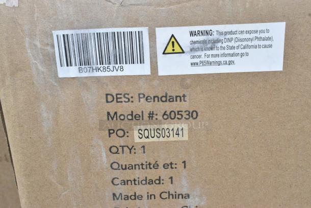 Cardboard box with barcode B07HK85JV8 and warning label about chemicals. Text includes "DES: Pendant," "Model #: 60530," and "Made in China."