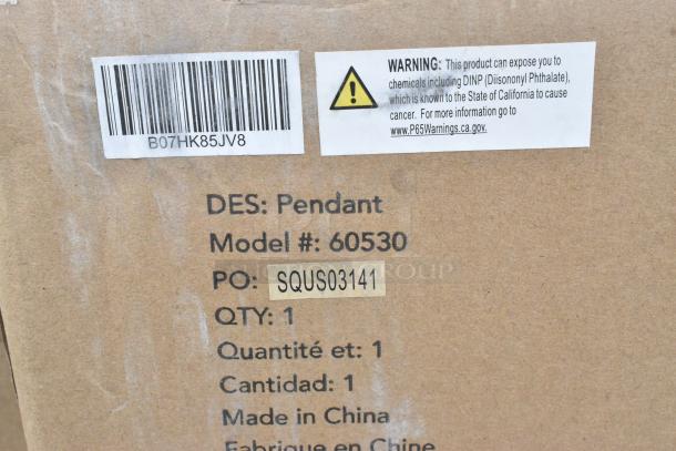 Cardboard box with text indicating a pendant, model number 60530, and warning label. Barcode and details visible.