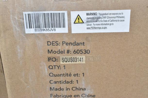Cardboard box marked with "DES: Pendant," "Model #: 60530," "PO: SQUS03141," with a California Proposition 65 warning label.