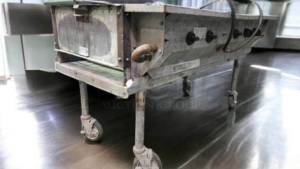 MagiCater LPG-60 portable gas charbroiler in excellent condition, 120,000 BTU, propane-powered, fully tested, sturdy wheels.