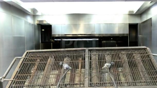 MagiCater LPG-60 portable gas charbroiler, excellent condition, propane, 120,000 BTU, fully tested, stainless steel construction.