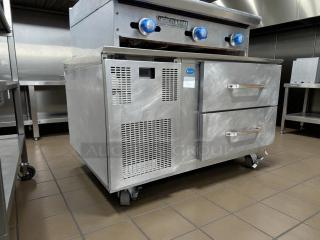 Randell FX-2WS-290 43 1/4" chef base with 2 drawers in great condition, 115v, tested and working.