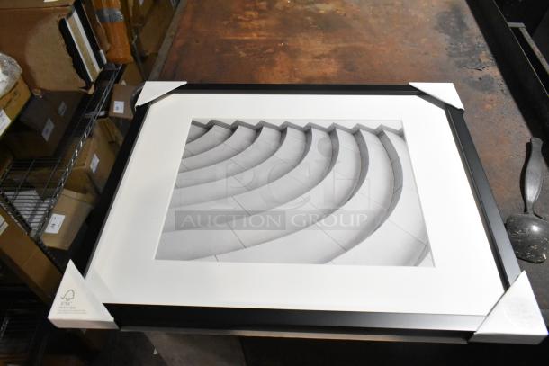 Framed picture with black border, FSC label, dimensions 11x14”-16x20”. Part of 8 scratch and dent pieces.