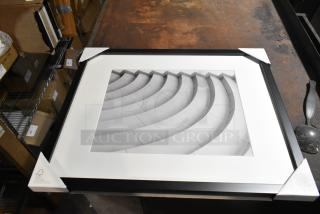 Framed picture with black border, FSC label, dimensions 11x14”-16x20”. Part of 8 scratch and dent pieces.