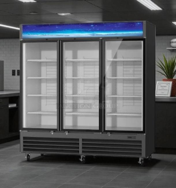 Blue Air BKGM72-HC 82" 3-section glass door freezer merchandiser, excellent condition, white finish, tested and working.