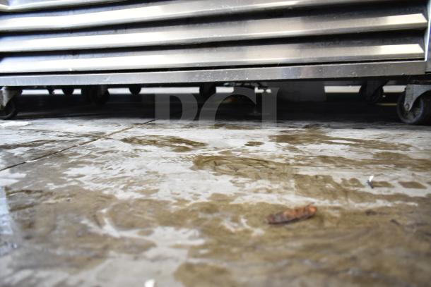 Master Bilt R49-S 2-door commercial cooler on casters, 115V, 1 Phase. Polished metal finish. Appears in used condition.