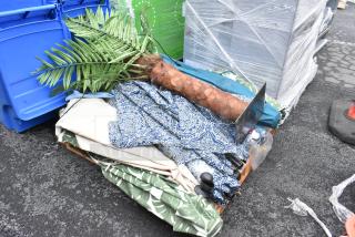 Various items lot including patio umbrellas, artificial palm, and patterned fabrics, mixed condition. 11 times bid.