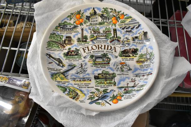Florida souvenir plate with colorful illustrations of landmarks, labeled "The Sunshine State," on paper towels.