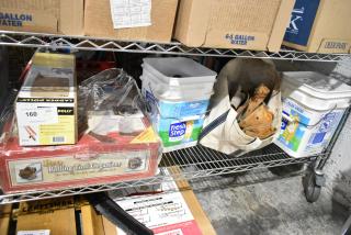 ALL ONE MONEY! tier lot with ladder dolly, Pro Rolling Tool Organizer in box, toilet pipe extender, various storage items.