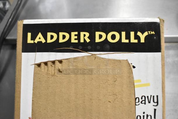 Box labeled "Ladder Dolly" with visible cardboard wear, part of a mixed tier lot including tool organizer and pipe extender.