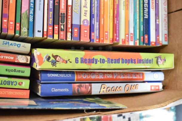 Tier lot of various books, including titles like "Dodger for President" and "Room One," with visible wear on covers.