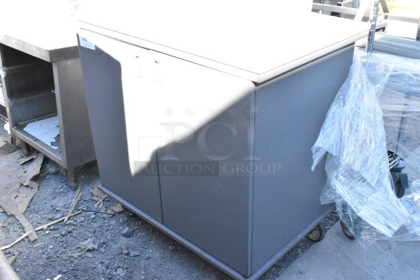 Gray 2 door cart on commercial casters, in fair condition. Item features a label marked "315." Sturdy, mobile storage solution.