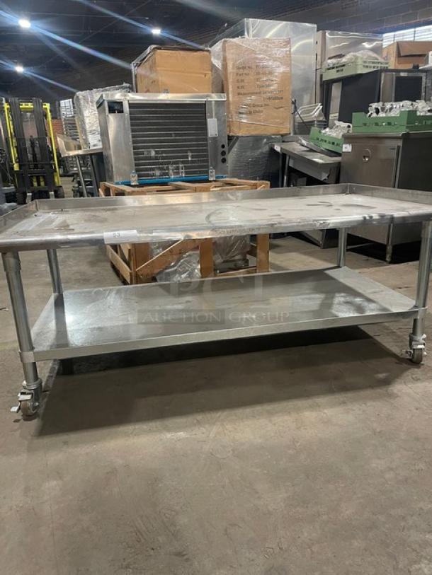 BK Resources VETS6030 stainless steel equipment stand, 60"x30", galvanized undershelf, on casters, excellent condition.