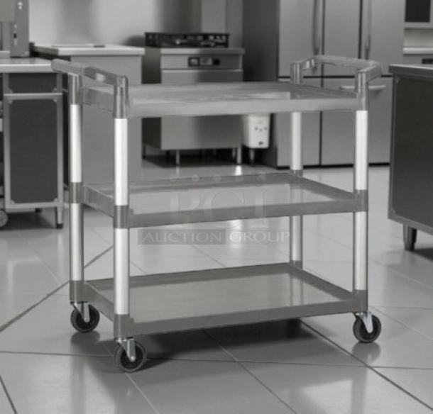 Brand new Choice small bus cart with 2 shelves, 24"x16", gray. Durable frame, swivel casters. Ideal for easy transport.