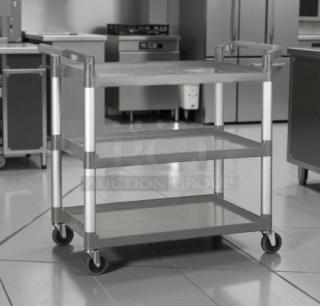 Brand new Choice small bus cart with 2 shelves, 24"x16", gray. Durable frame, swivel casters. Ideal for easy transport.