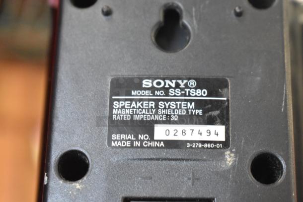 Sony SS-TS80 speaker, magnetically shielded, impedance 3Ω, serial number 0287494, made in China, black casing.