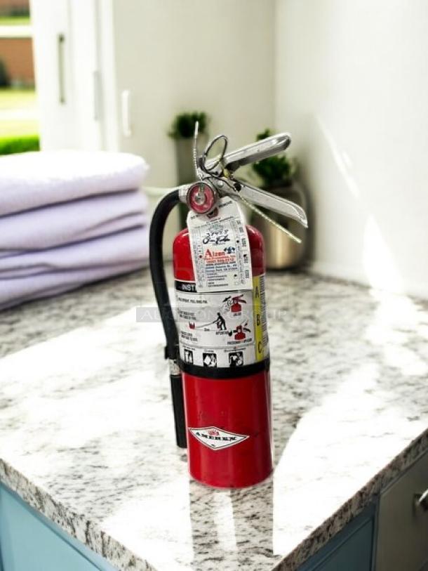 Amerex B500 fire extinguisher, 5 lb, ABC rated, excellent condition, with test and instruction labels visible.