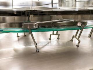 Stainless steel conveyor system by Tang Machinery, superb condition, model Stainless Steel Conveyor Line, for bottle transport.