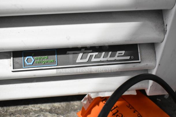 2021 True TSCI-600R-G-PH commercial cooler label, featuring "natural refrigerant" marking.