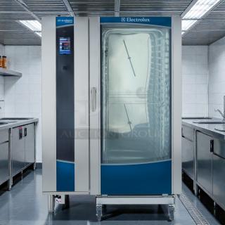Electrolux Air‑o‑Steam Touchline AOS202GTP1 combi oven, natural-gas, stainless steel, tested and working.
