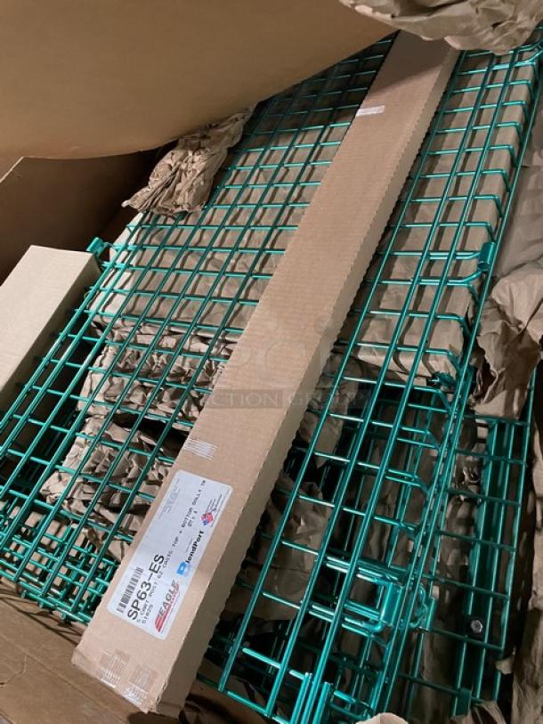 BRAND NEW Eagle Group DTSC2430E green epoxy-coated wired security unit with dolly truck, in packaging.