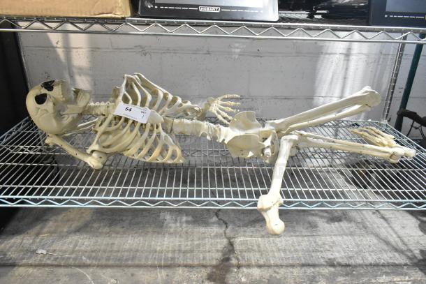 Life-sized skeleton model on metal shelf, labeled "54, qty 1." Appears in good condition. Ideal for educational use.
