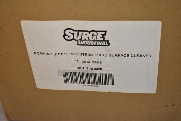 Box labeled "Surge Industrial Foaming Surface Cleaner," containing 12 cans, SKU: SIHF0020.