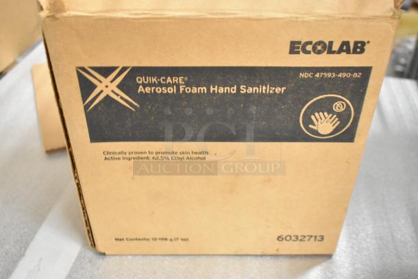 Box of 12 Ecolab Quik-Care Aerosol Foam Hand Sanitizers, brand new, 62.5% ethyl alcohol, 198g each, promotes skin health.