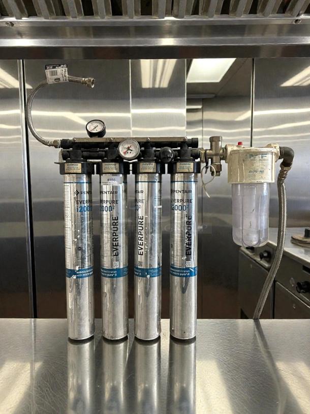 Pentair Everpure i2000 water filter system, four cartridges, model Insurice i2000, in great condition, with pressure gauges.