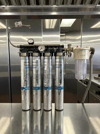 Pentair Everpure i2000 water filter system, four cartridges, model Insurice i2000, in great condition, with pressure gauges.