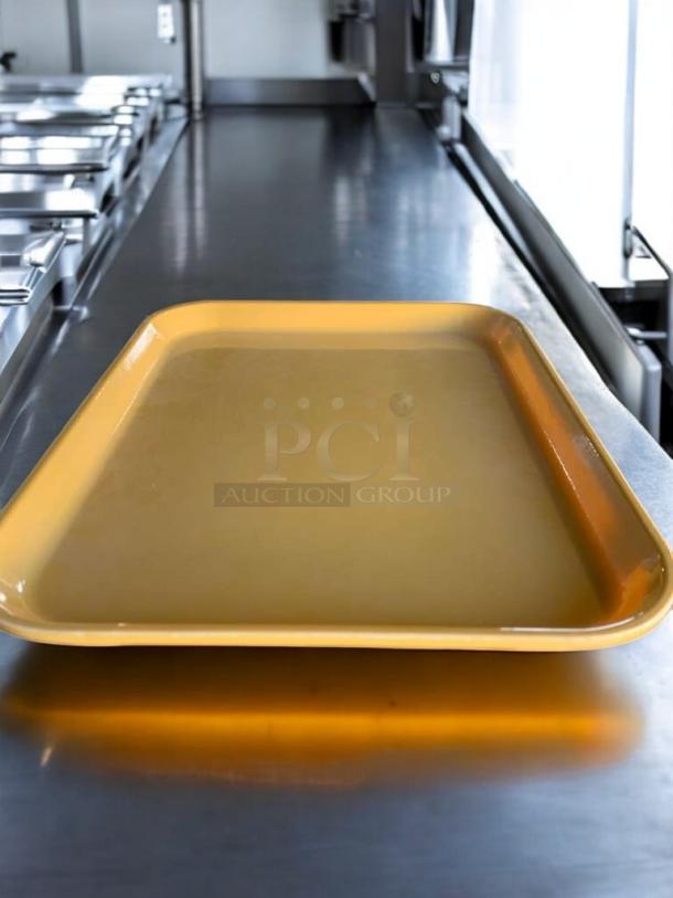 Mint condition commercial plastic serving tray, durable and lightweight. Generic Foodservice brand, fully tested.