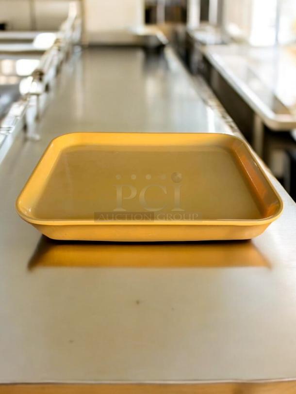 Mint condition commercial plastic serving tray, durable, lightweight, by Generic Commercial Foodservice, fully tested.