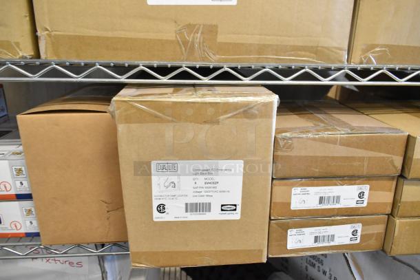 Boxes of Dual Lite LED emergency light back boxes, some with labels. Brand new condition, part of 16-item auction lot.