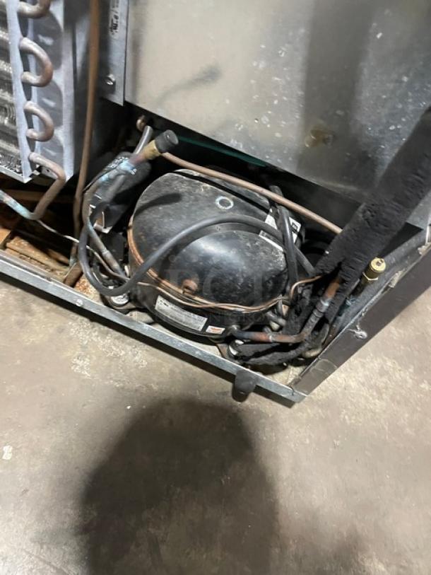 Delfield 406CA stainless steel undercounter refrigerator with poly-coated rack, shown on casters. Model details visible.