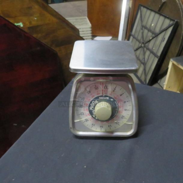 Taylor TS-32 scale, stainless steel, analog dial, gently used condition, model# TS32.