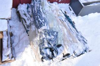 Lot of assorted patio umbrellas on a snowy surface, various patterns and colors, some tags visible, bundled together.