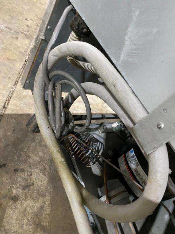 Turbo Air TSF23SD commercial stainless steel freezer, showing internal coils and wiring. Model SN: DF23505021, 115V, on casters.