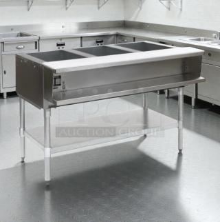 Eagle Group WT3-240 Electric Steam Table, fully tested, excellent condition, 240V, single phase, stainless steel, made in USA.