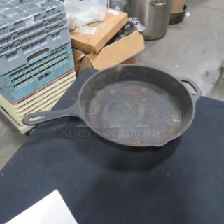 Lodge 10-inch cast iron skillet with handle, showing natural patina and wear, ideal for cooking enthusiasts.