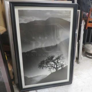 Framed 27x39 black and white landscape picture featuring a lone tree, in good condition, with a dark wooden frame.